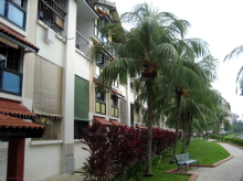 Blk 116 Pasir Ris Street 11 (Pasir Ris), HDB Executive #121452
